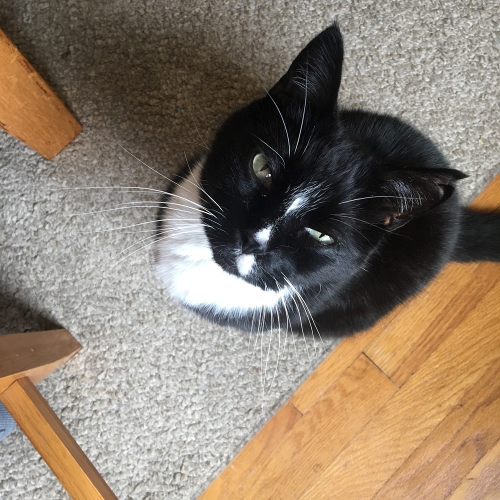 Meet your Posher, Katie